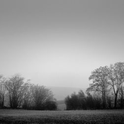 Træer i tåge Tikøb 3